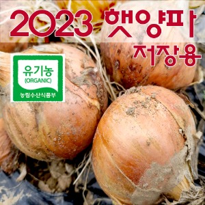 2023 유기농 햇양파5kg 10kg( 소중/대특대)직접재배 저장용